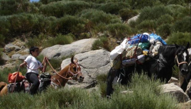 transportando el vivac